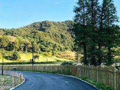 -东钱湖旅游度假区