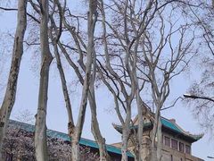 -武汉大学-樱园