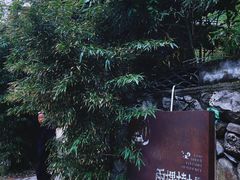 -朱雀国家森林公园