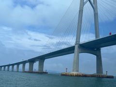 -招商蛇口邮轮母港(观光客运)
