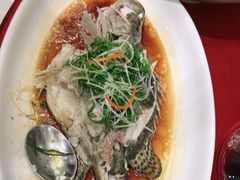 -湛江菜.江南首席(昆山店)