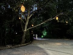 -沈阳植物园