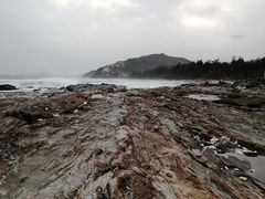 -盐洲岛