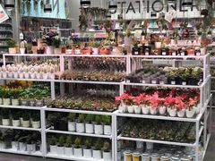 -KKV(深圳宏发大仟里店)