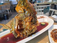 -鲁阳·谷城菜(阳谷博济桥广场店)
