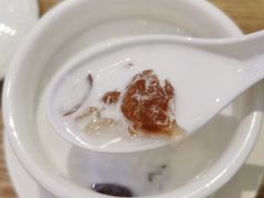 椰汁桃胶炖雪蛤-美食小镇·观赏珍稀鸟类·长隆熊猫酒店