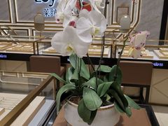 -金鹰国际购物中心(淮安店)