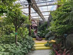 -南宫五洲植物乐园