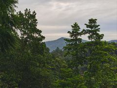 -火炉山森林公园