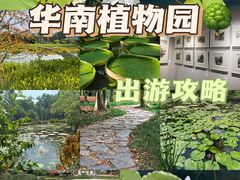 -中国科学院华南植物园