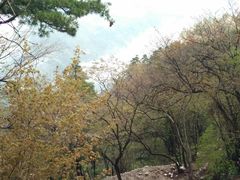 -秦岭天竺山景区
