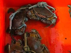 -老财炒饭·熟地蟹·冬瓜蟹