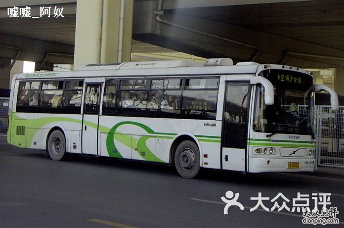 公交车沪松专线图片-郑州公交车