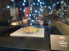 -盘龙城遗址博物院