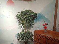 -花鸟鱼私家小厨(文殊院店)