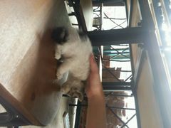 android_upload_pic-密讯馆密室逃脱&换装侦探剧(环球港旗舰店)