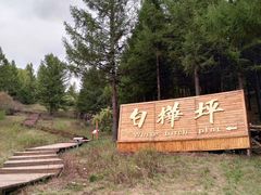 -塞罕坝国家级自然保护区