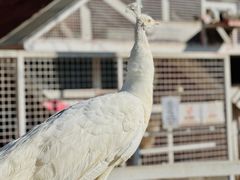 -金庭庄园酒店-停车场