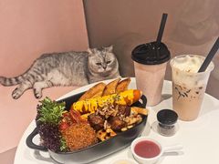 -猫儿山۰猫主题餐厅