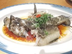 -红棉中餐厅·广州海航威斯汀酒店