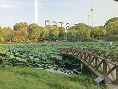 -美兰湖景区