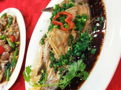 -先鲜鲫鱼粥