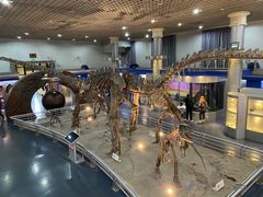 -国家自然博物馆