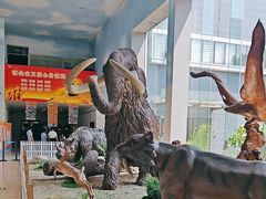 -中国第四纪冰川遗迹陈列馆