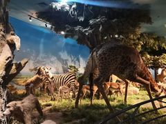 -国家自然博物馆