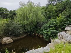 -北京西山国家森林公园