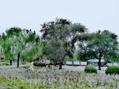 -通辽森林公园