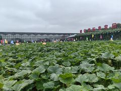 -长春农博园
