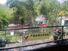 -栾川竹海野生动物园