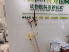 -悦宠动物医院(京丰分院)