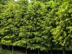 -狼山风景名胜区