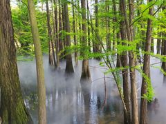 -东湖落雁景区