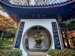 -十八棵（老龙井）御茶园(老龙井店)