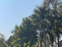 -中国科学院西双版纳热带植物园
