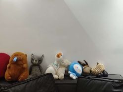 -春田皮肤管理中心品牌旗舰店