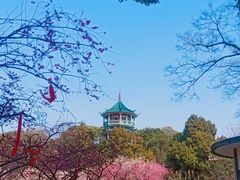 -无锡梅园公园