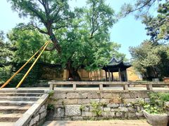 -无锡惠山寺