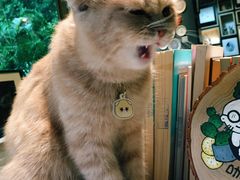 -咖法森林·咖啡  酒吧(天河店)