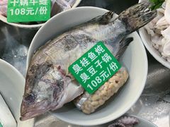 -军子大排档(迎春花园店)