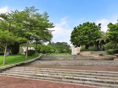 -三水森林公园