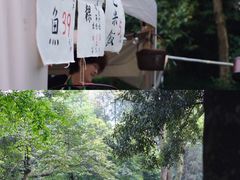-杭州植物园
