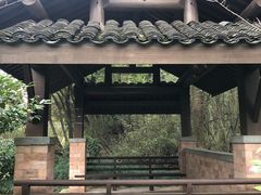 -杭州半山国家森林公园