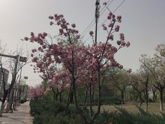 -中粮·祥云小镇