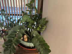 -荷风细雨·中国茶宴(世纪大道店)
