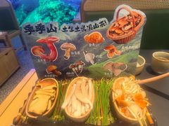 -季季山·云南野生菌火锅(上海首店)