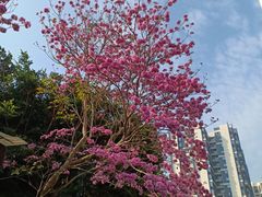 -大师兄·西北小馆(南沙万达广场店)